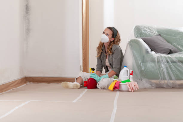 Reliable Mold Remediation contractor in Belle Plaine, MN by WQB Mold Removal